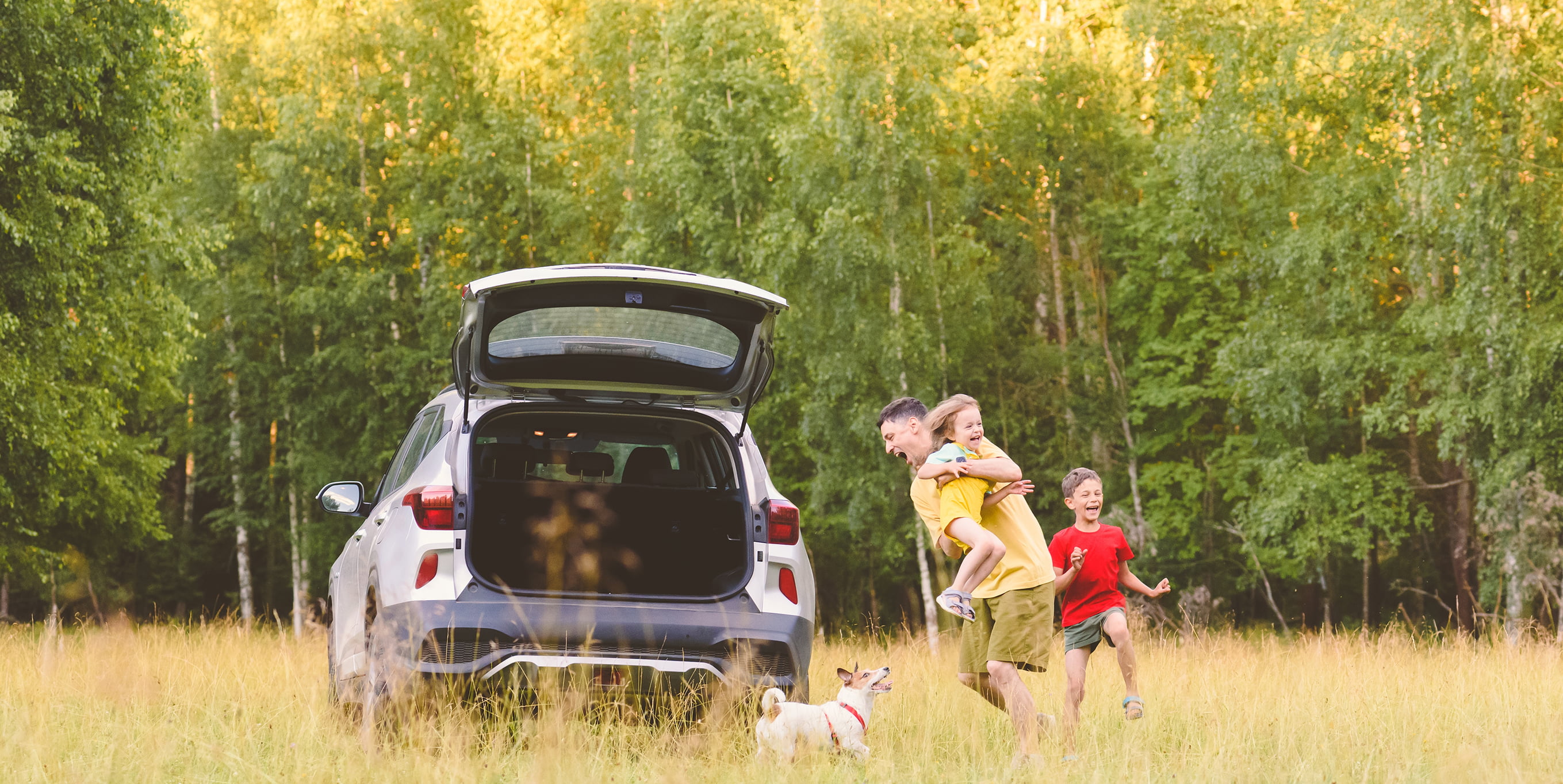 愛知で育んだ歴史、世界へ提供する価値。