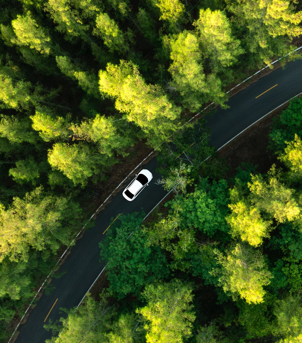 成長戦略+各種取り組み